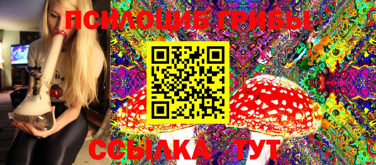 Галлюциногенные грибы Psilocybe Нижний Новгород