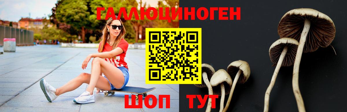 Галлюциногенные грибы Psilocybe  Вход с VPN  Нижний Новгород  Псилоцибиновые грибы ЛСД 